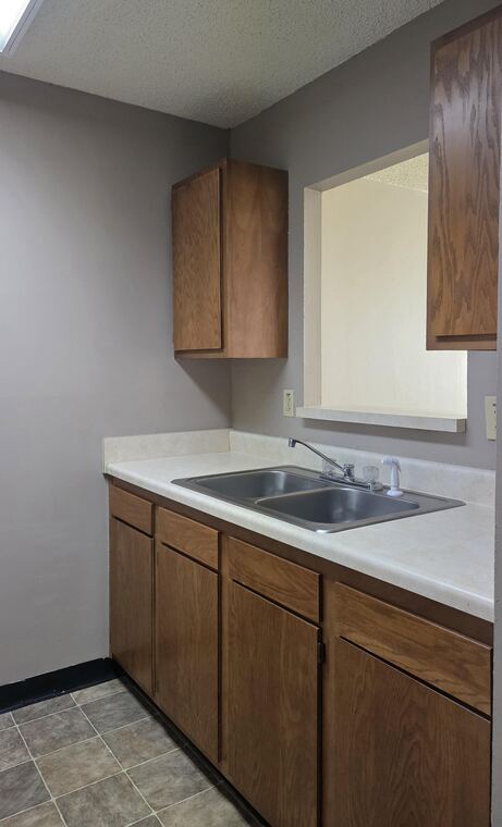 Kitchen sink and cabinets